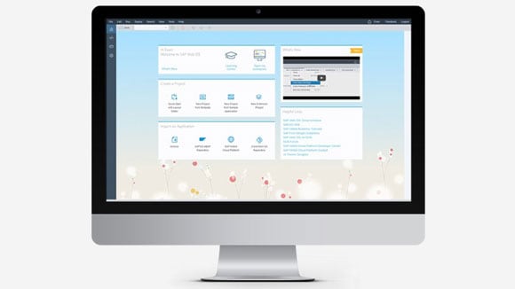 files/2016/10/sap-program.jpg 580w, http://www.ww.kr.ua/files/2016/10/sap-program-300x169.jpg 300w Программа SAP