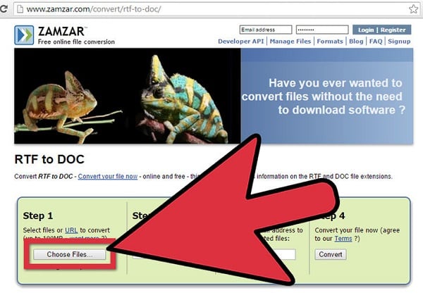 ZAMZAR service Сервис ZAMZAR