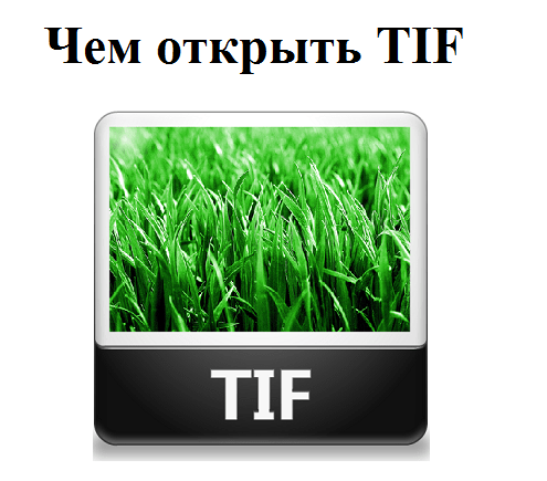 Extension Tagged Image File Format Расширение Tagged Image File Format