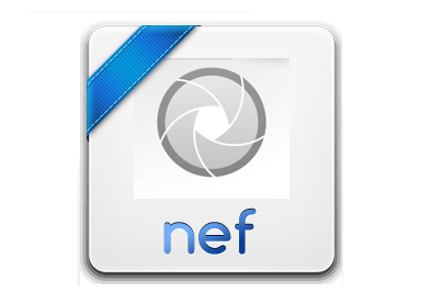 Learning to reproduce the NEF extension Учимся воспроизводить расширение NEF