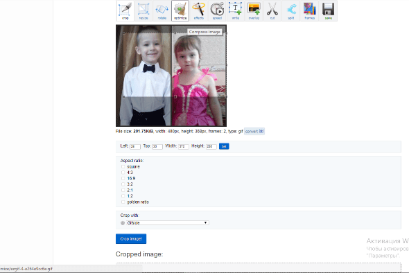 Select the required area for gifs cut Выбираем необходимую область гифки для вырезания