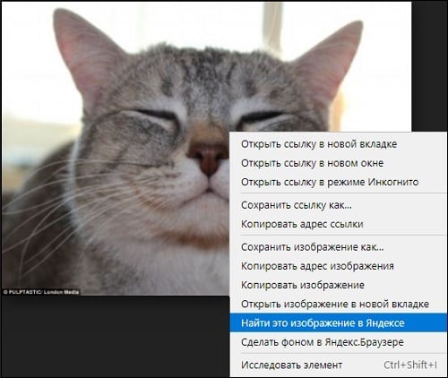 Possibilities of the web navigator from Yandex allow you to search for the desired images using the functionality of the browser itself Возможности веб-навигатора от Яндекс позволяют осуществлять поиск искомых изображений с помощью функционала самого браузера